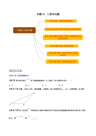 初中数学中考压轴题试卷-专题10 三角形问题（含答案解析）.docx