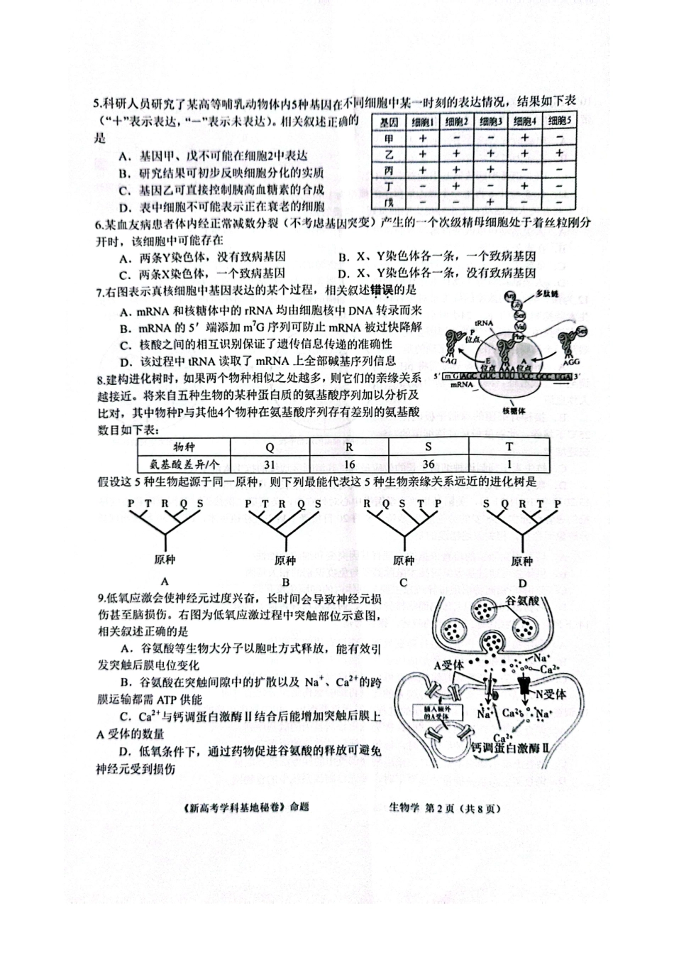 【生物试题+答案】2025届新高考基地学校第一次大联考.pdf_第2页