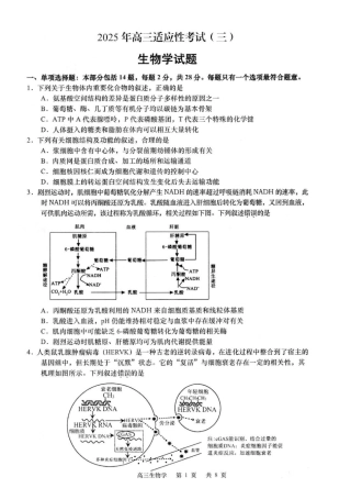 2025届江苏省如皋市高三适应性调研考试历史试卷（三）生物（含答案）.pdf