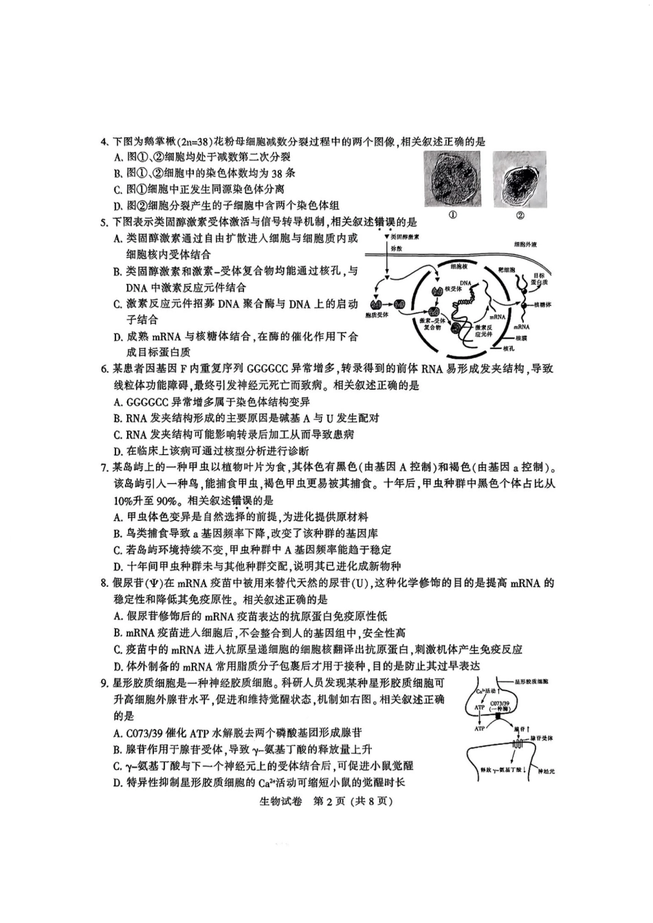 2025届江苏苏北七市高三第二次调研生物试卷_生物.pdf_第2页