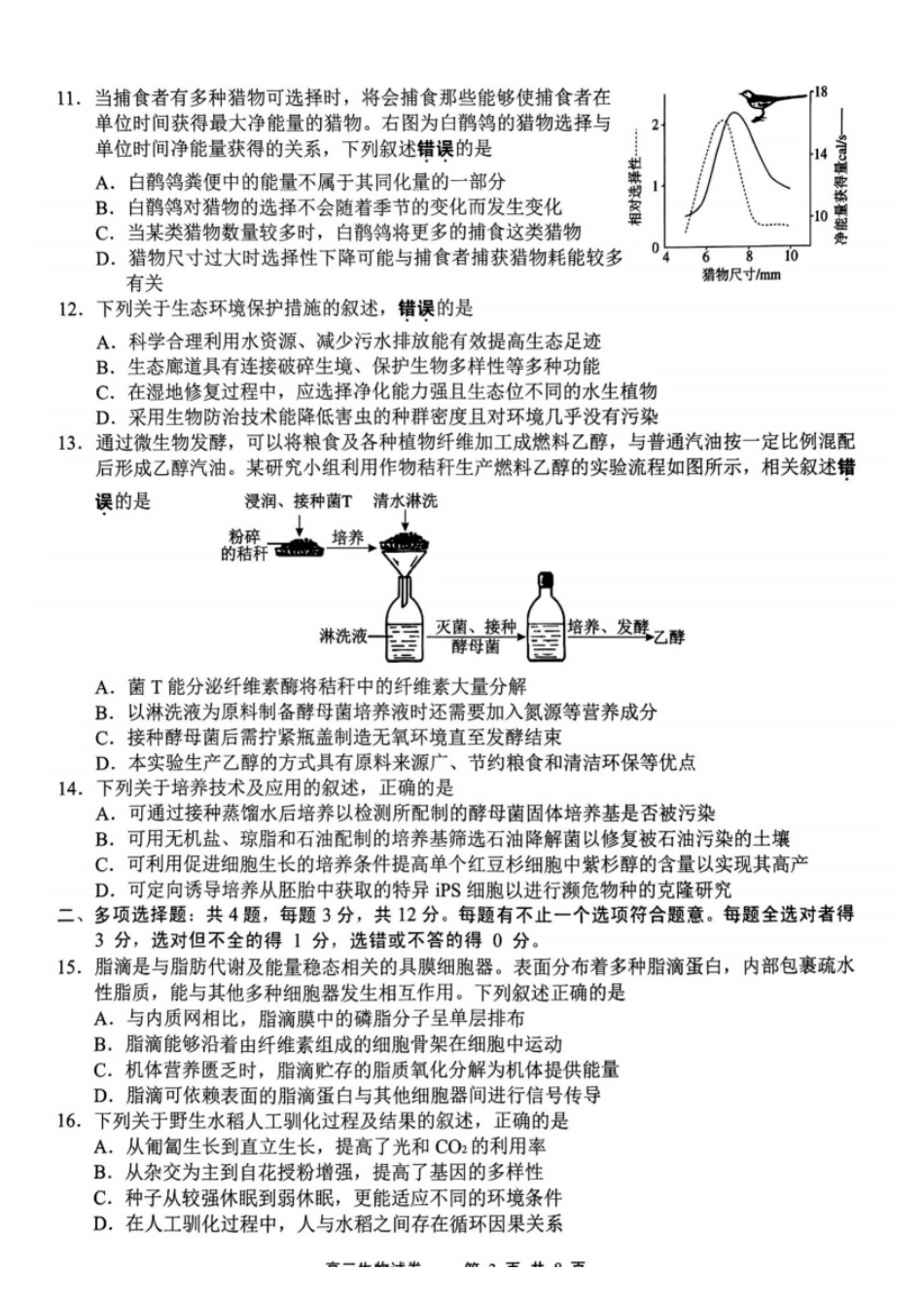 江苏省无锡市2024年秋季学期上学期高三期终教学质量调研测试 生物_生物试题.pdf_第3页