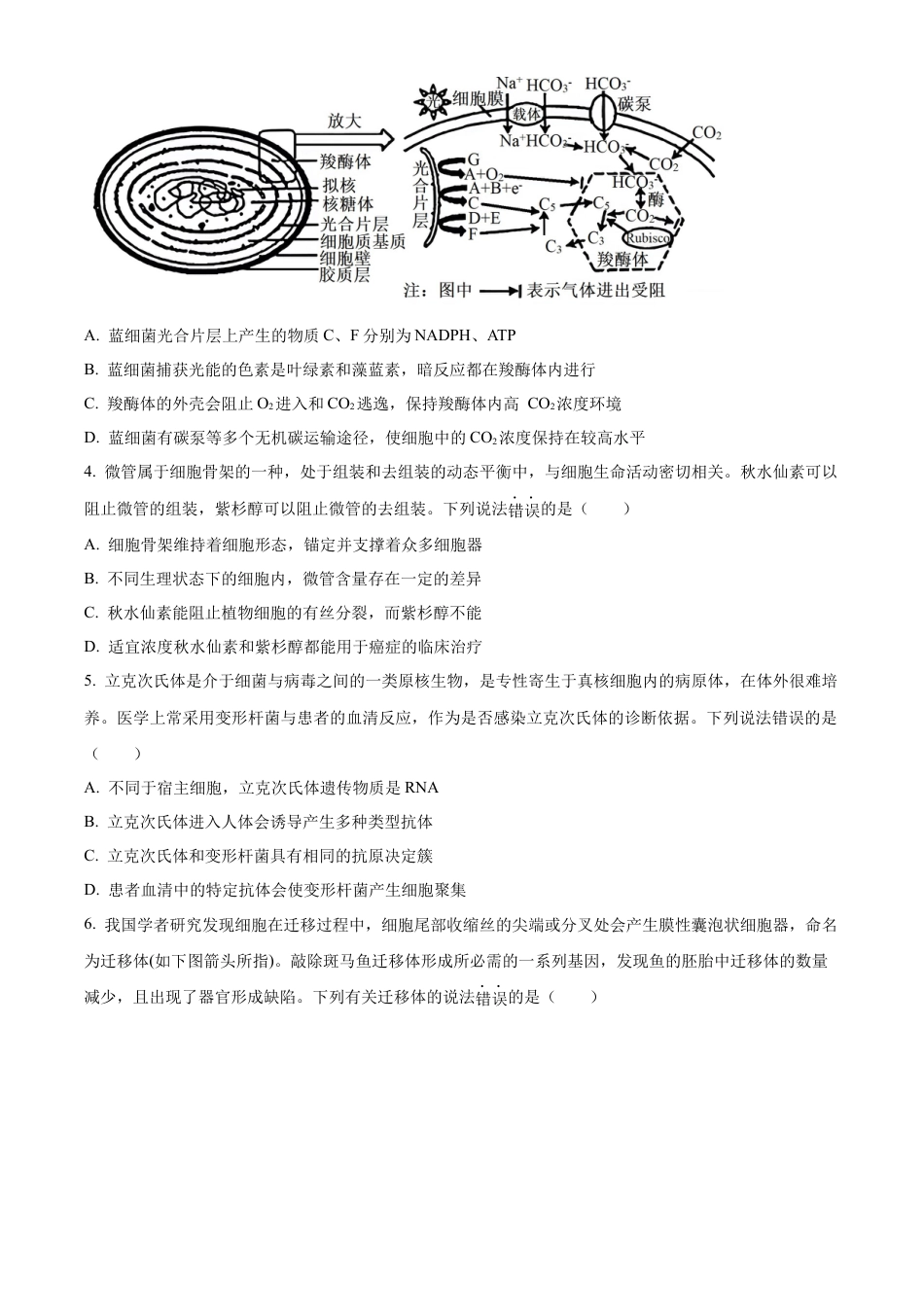 江苏省泰州市2023-2024学年高二下学期6月期末考试生物试题（含答案）.docx_第2页