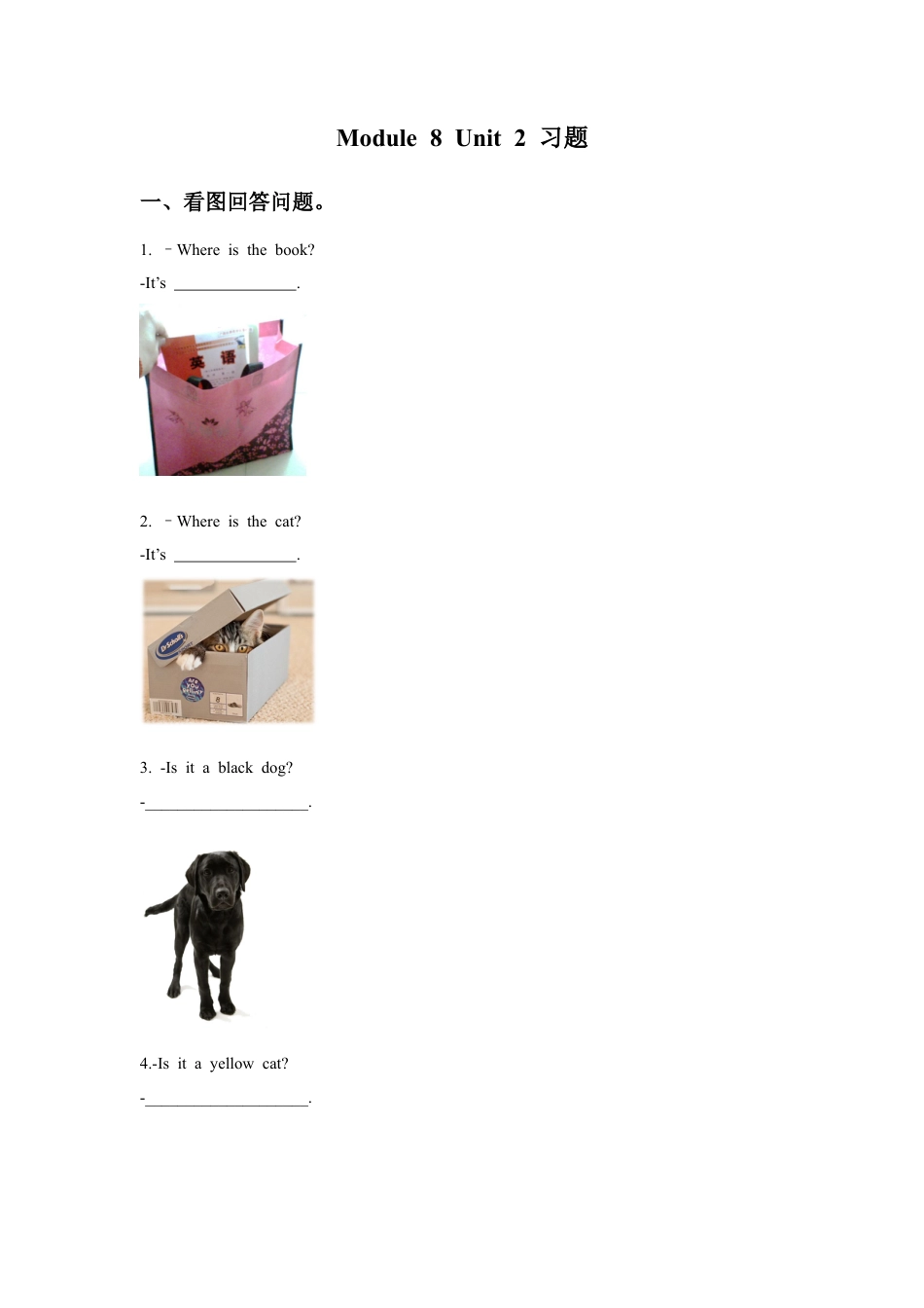 外研版英语三年级上Unit 2 Where's the cat 习题.doc_第1页