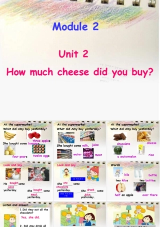外研版小学英语课件-2Unit 2 How much cheese did you buy_.ppt