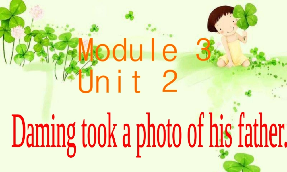 外研版小学英语课件-3Unit 2 Daming took a photo of his father..ppt