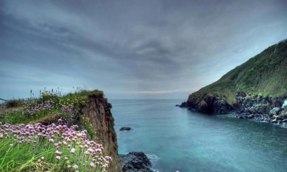 外研版小学英语课件-10Unit 2 Don't shout,please!.ppt