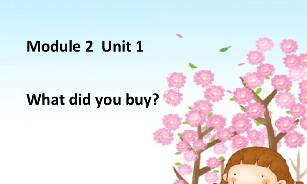 外研版小学英语课件-M2U1 What did you buy ？ .ppt