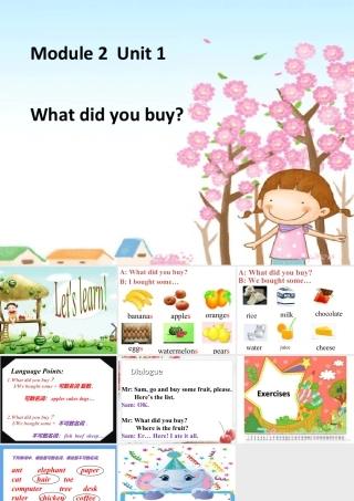 外研版小学英语课件-M2U1 What did you buy ？ .ppt