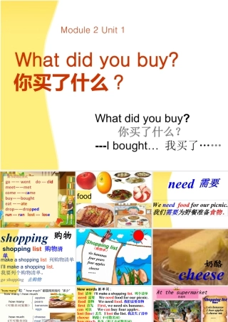 外研版小学英语课件-M2U1 What did you buy？？课件.ppt