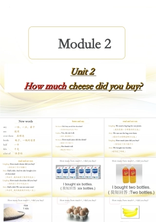 外研版小学英语课件-M2U2 How much cheese did you buy？.ppt