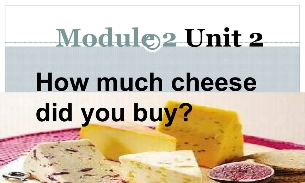 外研版小学英语课件-M2U2 How much cheese did you buy？课件.ppt