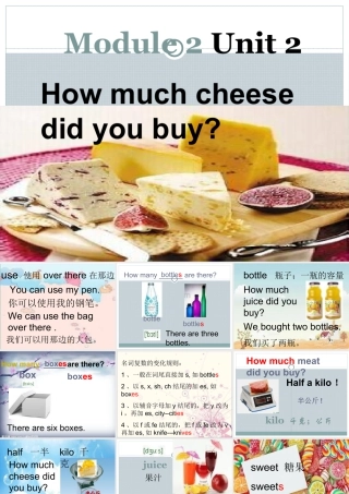 外研版小学英语课件-M2U2 How much cheese did you buy？课件.ppt