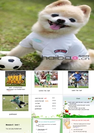 外研版小学英语课件-M6U1.ppt