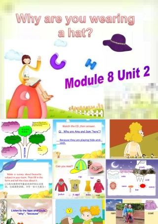 外研版小学英语课件-M8U2Why are you wearing a hat 课件.ppt.ppt