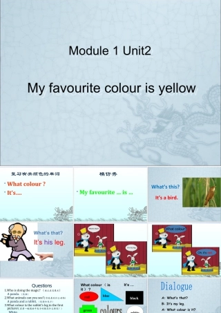 外研版小学英语课件-Module 1 Unit 2 My favourite colour is yellow课件2.ppt