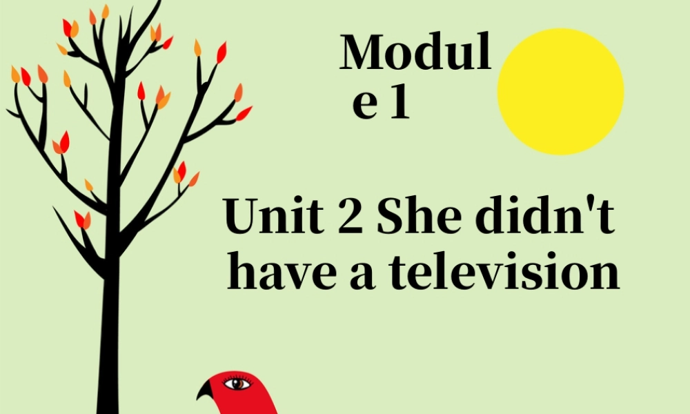 外研版小学英语课件-Module 1 Unit 2 She didn't have a television 课件1.ppt