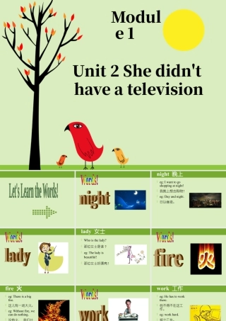 外研版小学英语课件-Module 1 Unit 2 She didn't have a television 课件1.ppt
