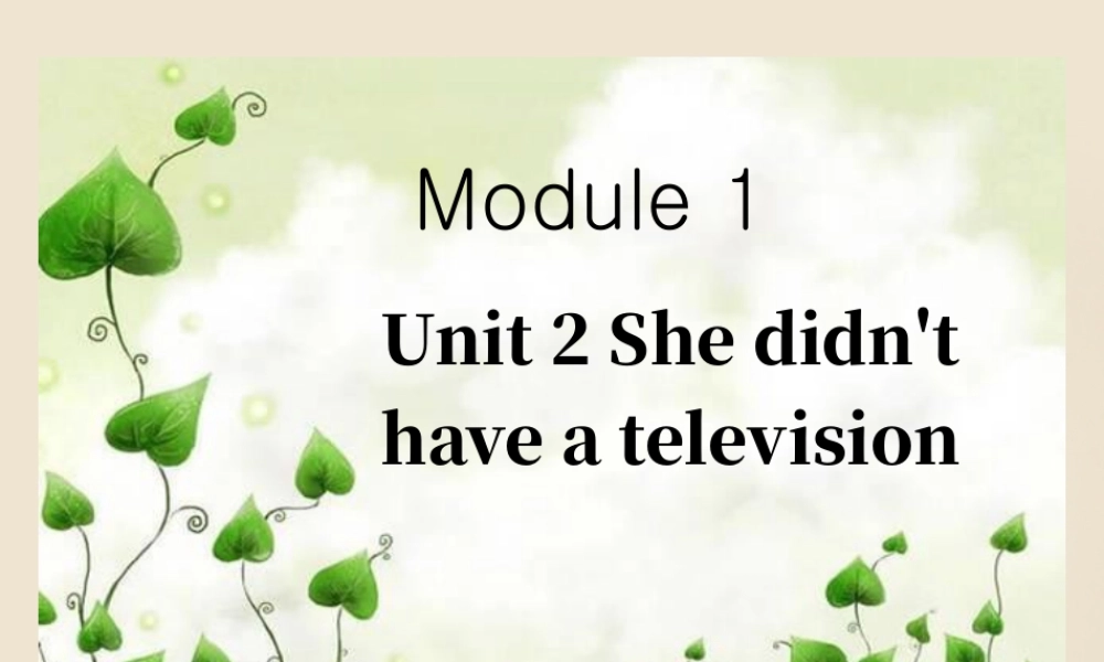 外研版小学英语课件-Module 1 Unit 2 She didn't have a television 课件2.ppt