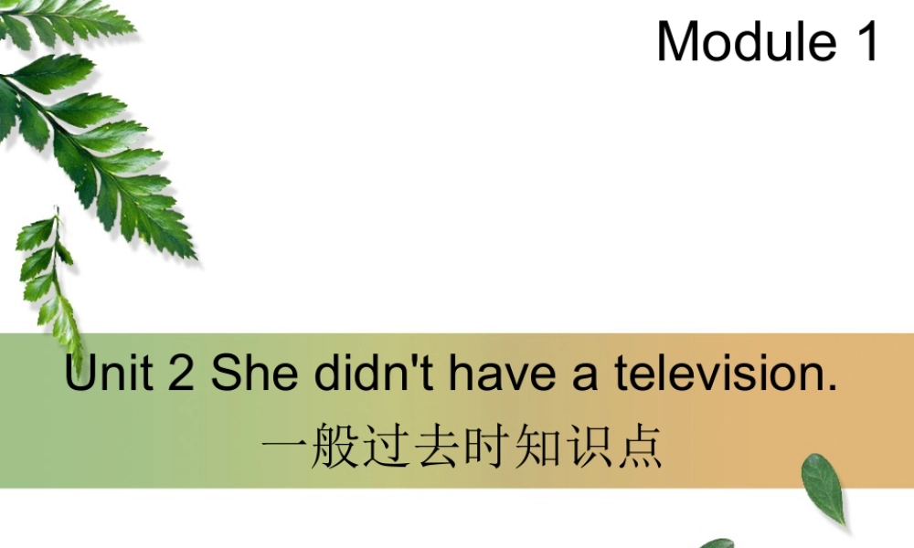 外研版小学英语课件-Module 1 Unit 2 She didn't have a television--一般过去时知识点.ppt