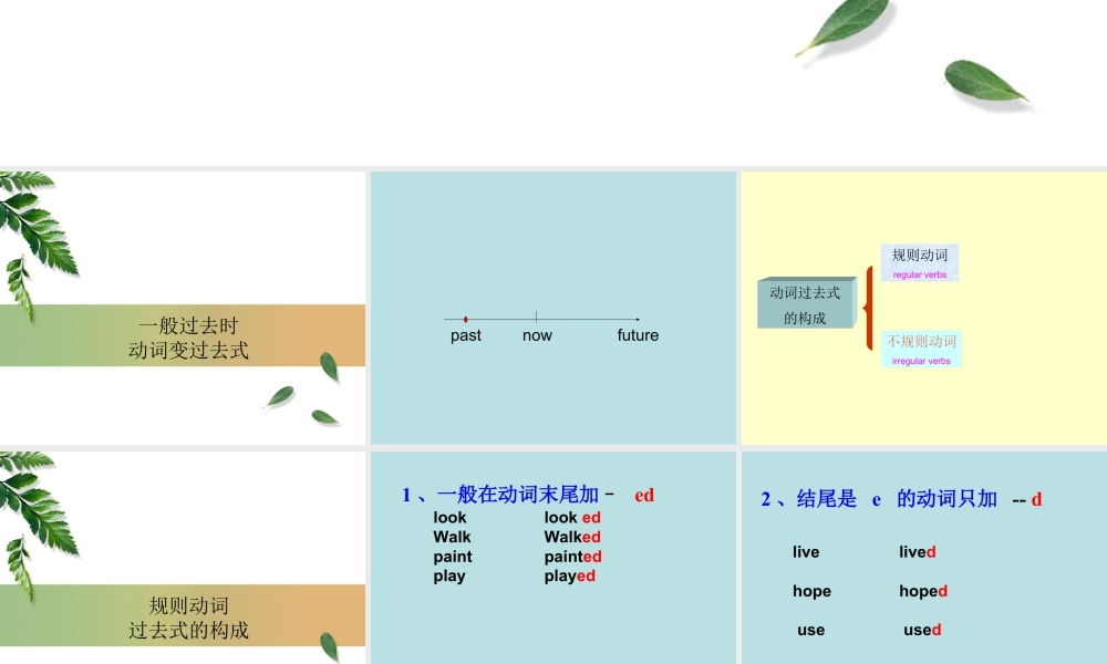 外研版小学英语课件-Module 1 Unit 2 She didn't have a television--一般过去时知识点.ppt