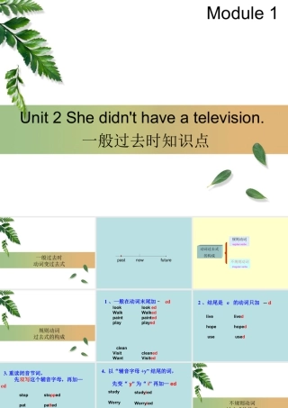 外研版小学英语课件-Module 1 Unit 2 She didn't have a television--一般过去时知识点.ppt