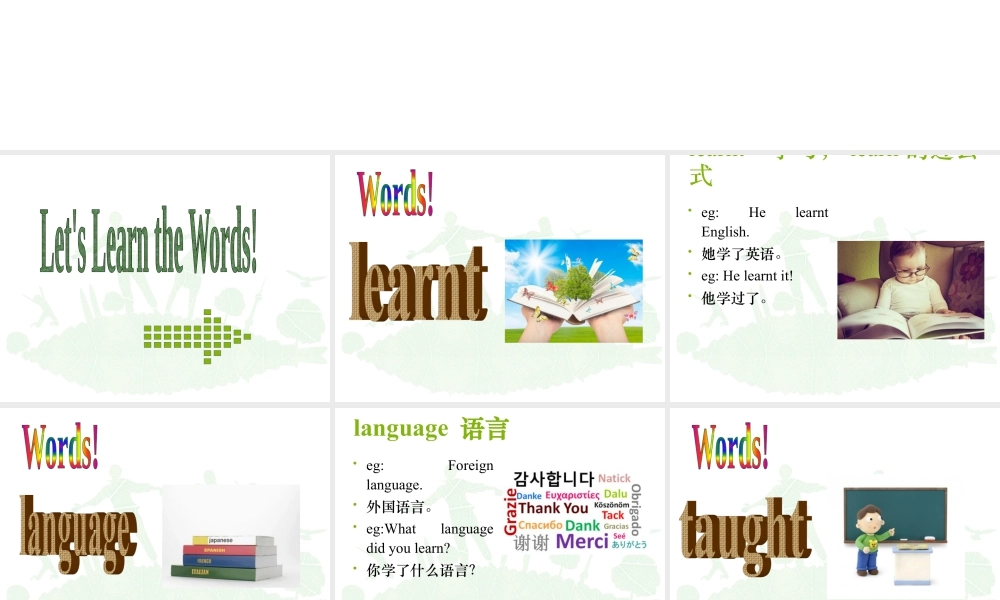 外研版小学英语课件-Module 2 Unit 1 She learnt English 课件1.ppt