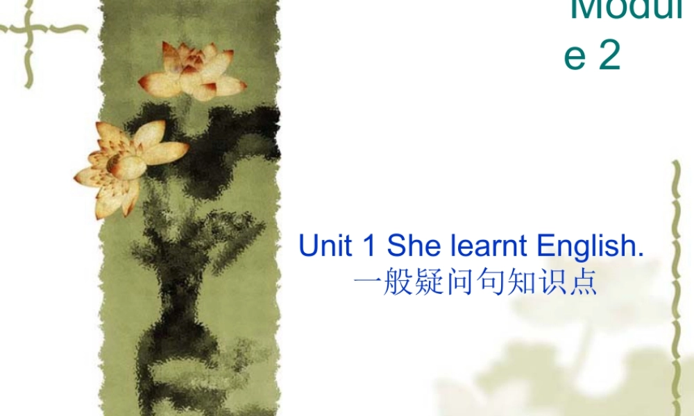 外研版小学英语课件-Module 2 Unit 1 She learnt English--一般疑问句知识点.ppt