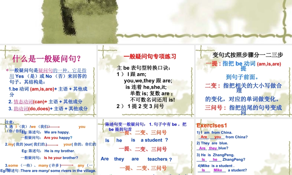 外研版小学英语课件-Module 2 Unit 1 She learnt English--一般疑问句知识点.ppt