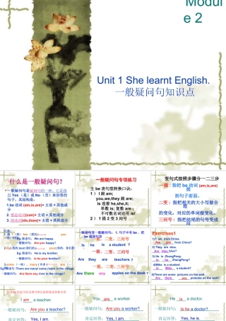 外研版小学英语课件-Module 2 Unit 1 She learnt English--一般疑问句知识点.ppt