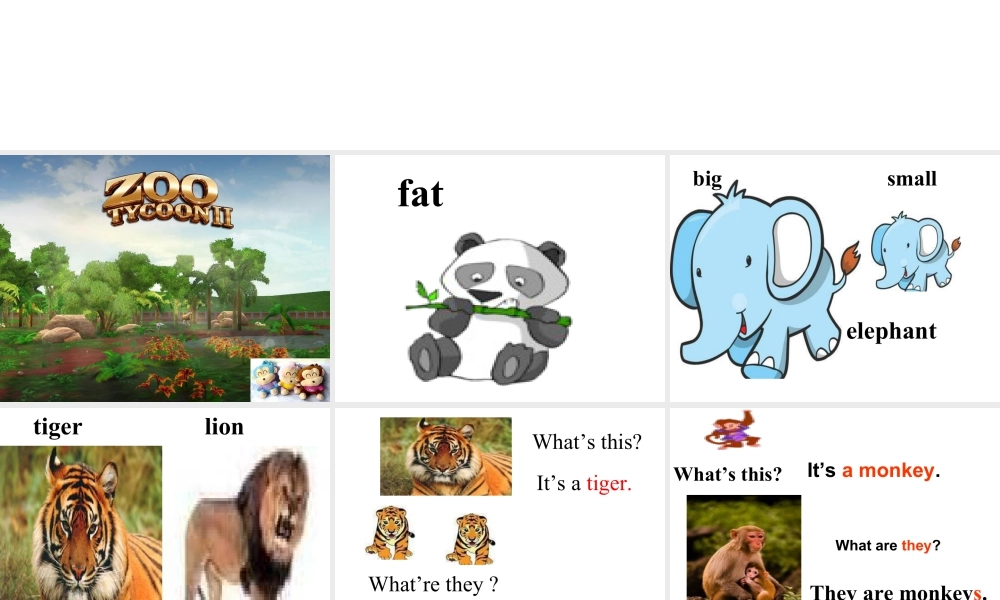 外研版小学英语课件-Module 2 Unit 1 They are monkeys 课件1.ppt