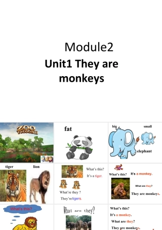 外研版小学英语课件-Module 2 Unit 1 They are monkeys 课件1.ppt