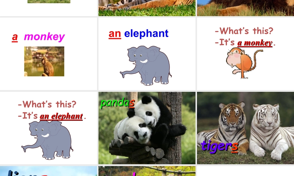 外研版小学英语课件-Module 2 Unit 1 They are monkeys 课件2.ppt