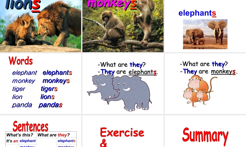 外研版小学英语课件-Module 2 Unit 1 They are monkeys 课件2.ppt