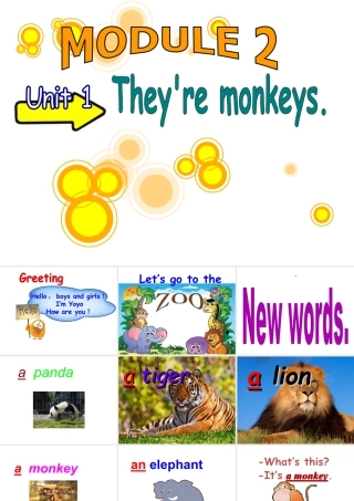 外研版小学英语课件-Module 2 Unit 1 They are monkeys 课件2.ppt