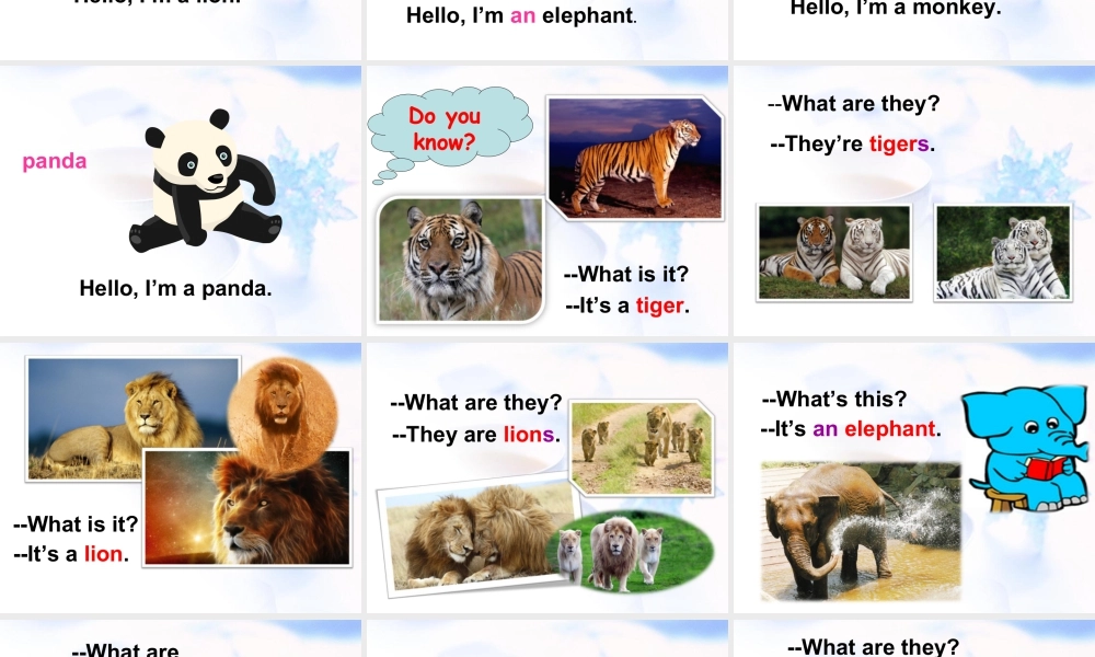 外研版小学英语课件-Module 2 Unit 1 They're monkeys 课件3.ppt