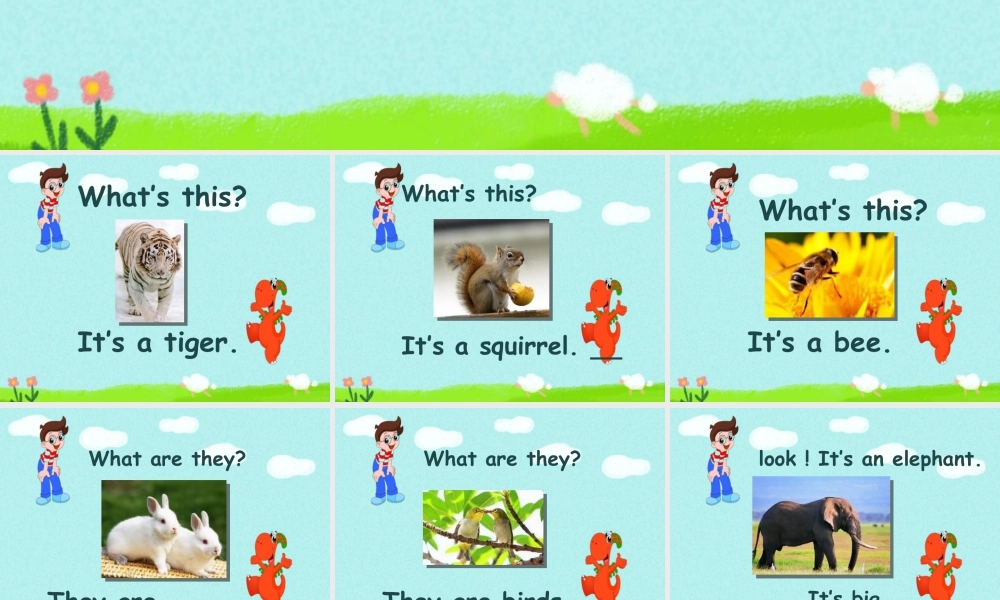 外研版小学英语课件-Module 2 Unit 1 They're monkeys--What's this.ppt