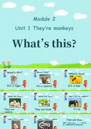 外研版小学英语课件-Module 2 Unit 1 They're monkeys--What's this.ppt