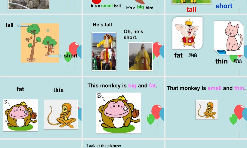 外研版小学英语课件-Module 2 Unit 2 That man is short 课件3.ppt