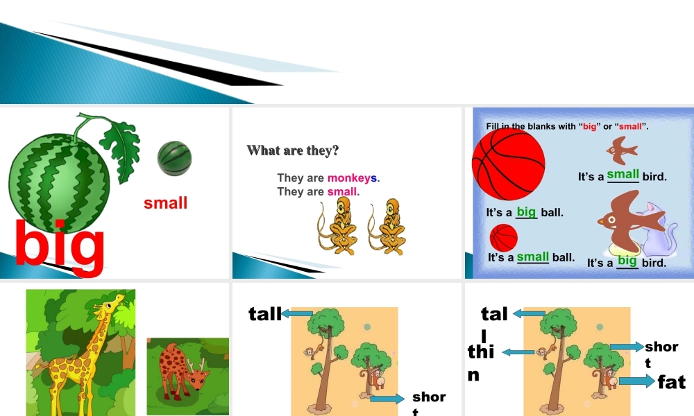 外研版小学英语课件-Module 2 Unit 2 The man is short课件2.ppt