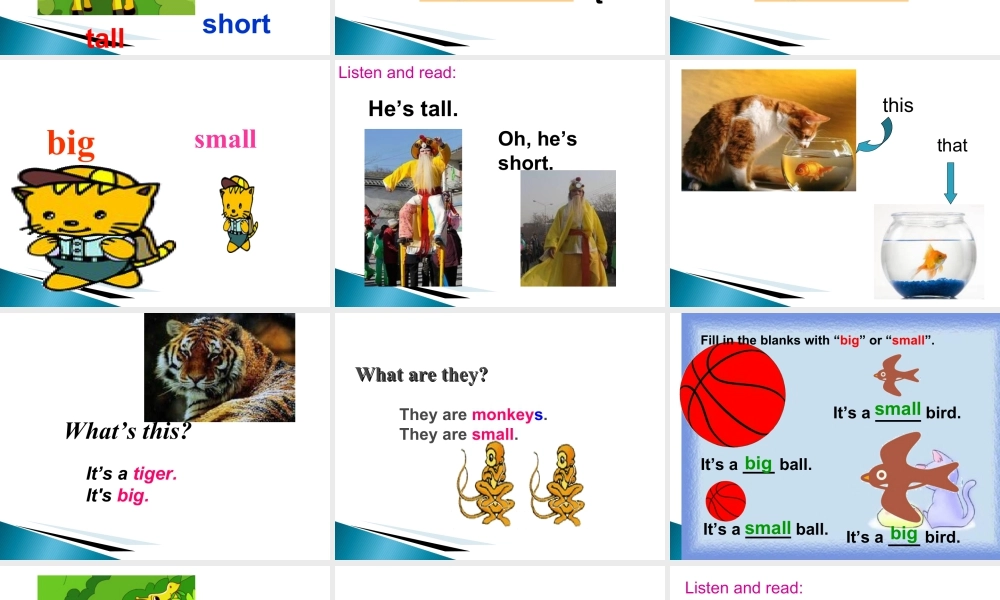 外研版小学英语课件-Module 2 Unit 2 The man is short课件2.ppt
