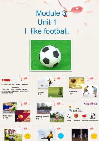 外研版小学英语课件-Module 3 Unit 1 I like football 课件3.ppt