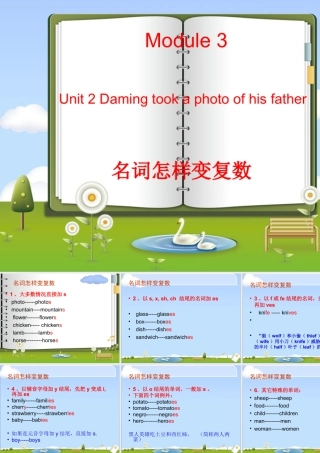 外研版小学英语课件-Module 3 Unit 2 Daming took a photo of his father.ppt