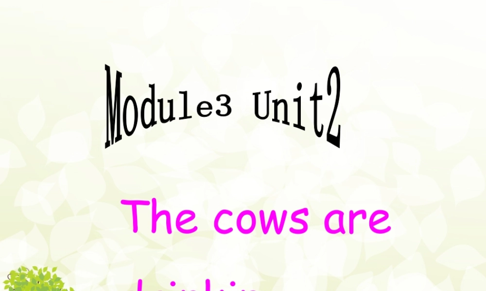 外研版小学英语课件-Module 3 Unit 2 The cows are drinking water. 课件1.ppt
