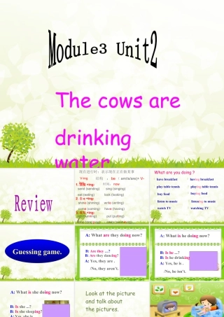 外研版小学英语课件-Module 3 Unit 2 The cows are drinking water. 课件1.ppt