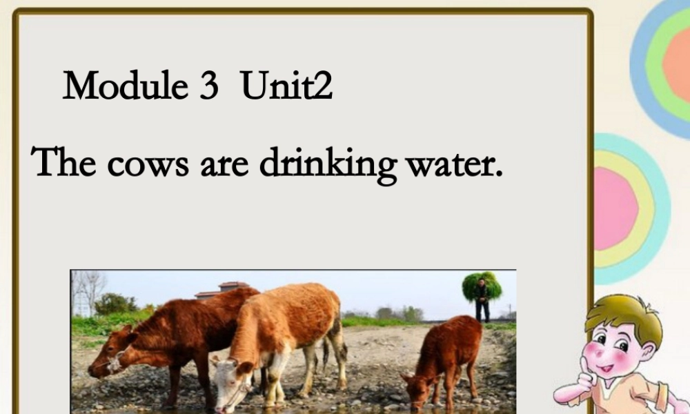 外研版小学英语课件-Module 3 Unit 2 The cows are drinking water. 课件2.ppt