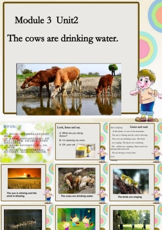 外研版小学英语课件-Module 3 Unit 2 The cows are drinking water. 课件2.ppt