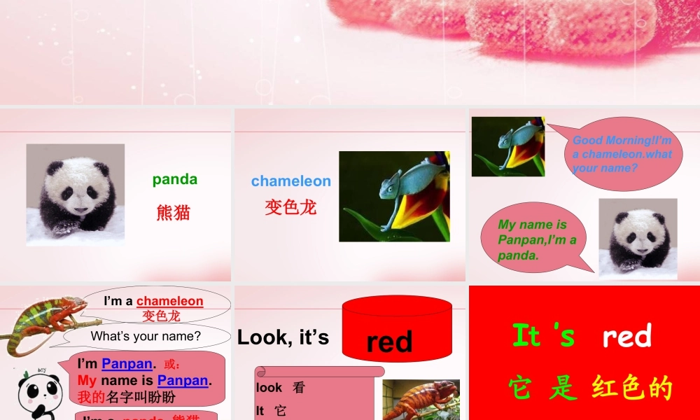 外研版小学英语课件-Module 4 Unit 1 It is red 课件.ppt
