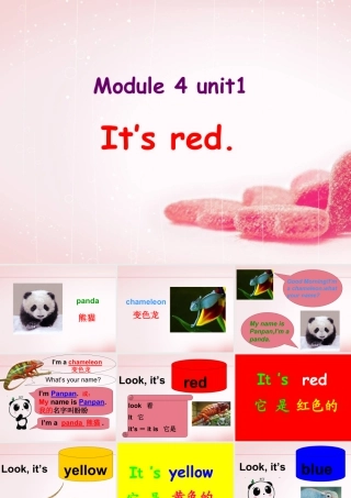 外研版小学英语课件-Module 4 Unit 1 It is red 课件.ppt