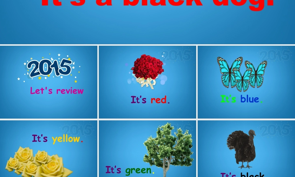 外研版小学英语课件-Module 4 Unit 2 It is a black dog 课件.ppt