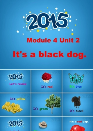 外研版小学英语课件-Module 4 Unit 2 It is a black dog 课件.ppt